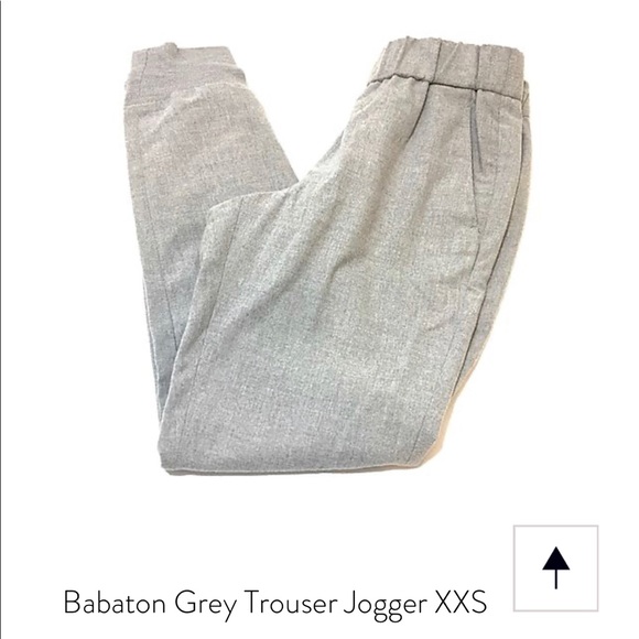 Aritzia Pants - Babaton Dexter Pant IN grey